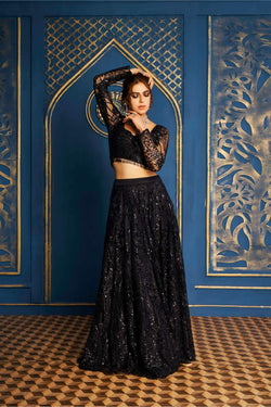 Royal Anthracite Black Lehenga & Dupatta