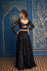 Royal Anthracite Black Lehenga & Dupatta