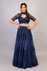 Night Royal Blue Lehenga 